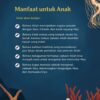 IMG_20260810_114914_929 PO 2026 Boardbook Anglerfish Mencari Cahaya