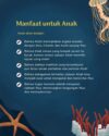IMG_20260810_114914_929 PO 2026 Boardbook Anglerfish Mencari Cahaya