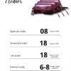 PO 2026 Eleanor Two Style (Handbag & Slingbag)